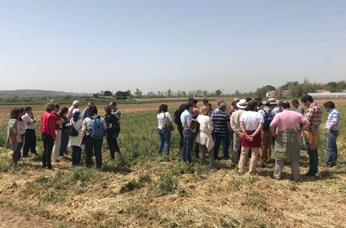 ICL Specialty Fertilizers participa en la 16ª reunión de la Red de Uso Eficiente del Nitrógeno en Agricultura