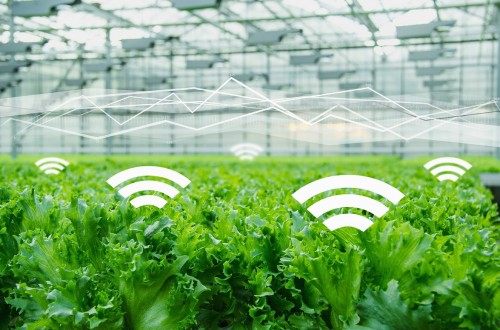 Los principales agentes de la innovación en el sector agroalimentario participarán esta semana en Smart Agrifood Summit