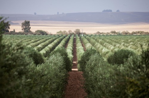 Suez Galpagro, la solución global para la gestión del agua