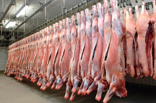 El Gobierno actualiza la clasificación de canales de carne de porcino, vacuno y caprino