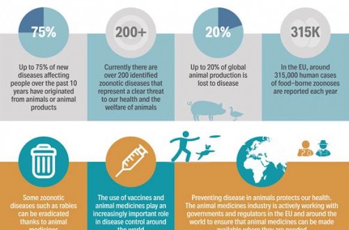 La importancia de la prevención en el el Día Mundial de las Zoonosis