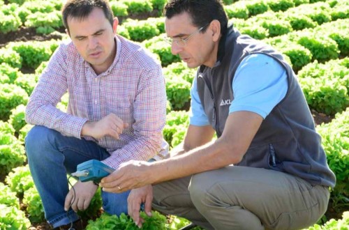 ICL lanza su nuevo catálogo de la gama Agromaster