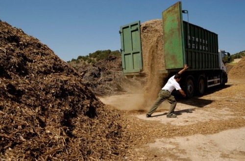 Plan de 12,5 M€ para producir combustible de biomasa sólida por microempresas y pymes de Extremadura