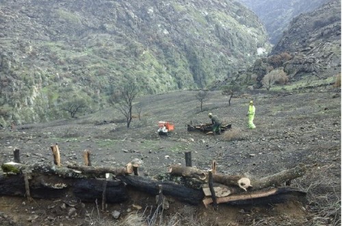 La CE pide más esfuerzos de prevención para frenar el riesgo creciente de incendios forestales