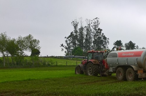 BASF lanza Vizura®, un concepto revolucionario en fertilización orgánica