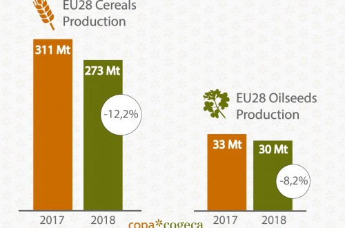 El COPA-Cogeca pide sacar lecciones del descenso de las cosechas de cereales y oleaginosas 2018/19 en la UE