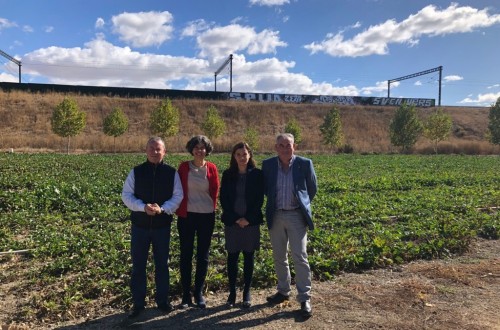 Elba Rosique, nueva directora de la Asociación para la Investigación y Mejora del Cultivo de la Remolacha Azucarera, Aimcra