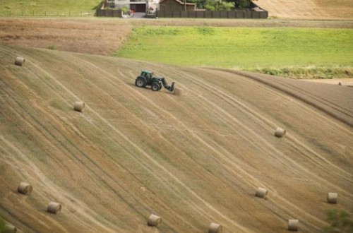 Bruselas recorta a 284,3 Mt la cosecha europea de cereales 2018/19 por la sequía