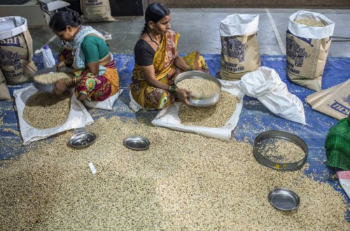 El Índice FAO de Precios mundiales de los alimentos básicos descendió en septiembre