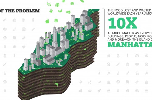 Un tercio de los alimentos producidos en el mundo acaba en la basura