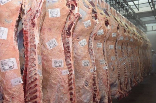 Bruselas negociará en breve con EE.UU. para revisar la cuota de importación de carne de vacuno sin hormonas