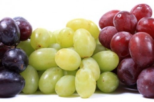 Grape Attraction: la uva sin semilla celebra la V edición de su Congreso en Fruit Attraction