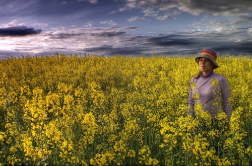 La agricultura en un nuevo escenario de interacción rural-urbana