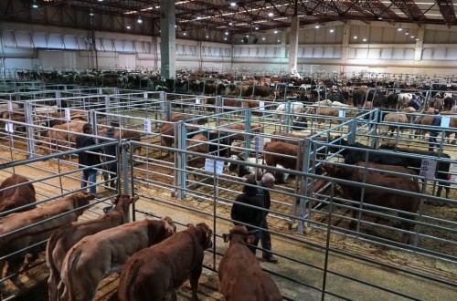 La Central Agropecuaria de Galicia ABANCA incrementó en 2018 sus transacciones económicas en un 1,7%