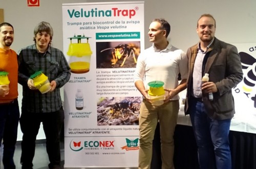 VelutinaTrap, la solución de Econex para la atracción y captura de Vespa velutina