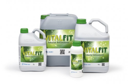 Vitalfit, el primer inductor antioxidante para plantas de Timac Agro