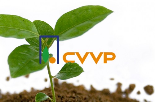 CVVP: gestión de variedades vegetales a la carta