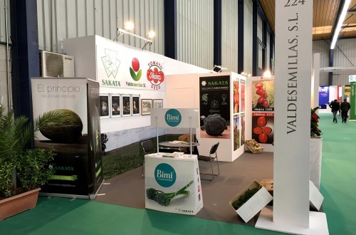 El brócoli, protagonista en Agroexpo con Sakata Seed Ibérica