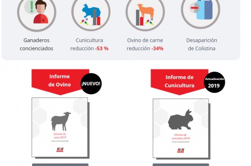 Nanta comparte los últimos resultados sobre el uso de antibióticos en ovino de cebo y conejos