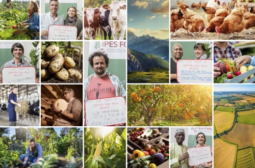 Presentado en Bruselas el informe “Hacia una Política Alimentaria Común en la Unión Europea”