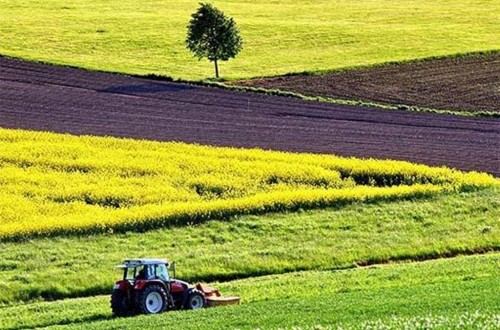 La CE espera menos siembras de cereales, oleaginosas y remolacha azucarera en 2019/20 en la UE