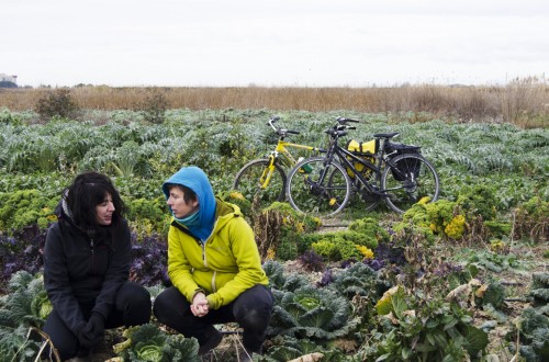 El proyecto Biela y Tierra conectará en bicicleta iniciativas de alimentación sostenible