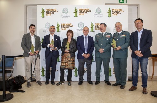 El Colvema entrega los Premios Bienestar Animal en su cuarta edición