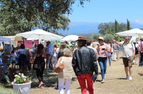 Felipe Díaz de Bustamante: «En Jardines de Campo Open Day el visitante viene a sumergirse en un mundo rural auténtico y de calidad»