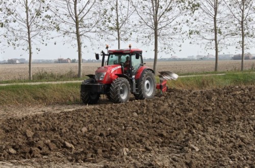 McCormick, por primera vez en Expoliva