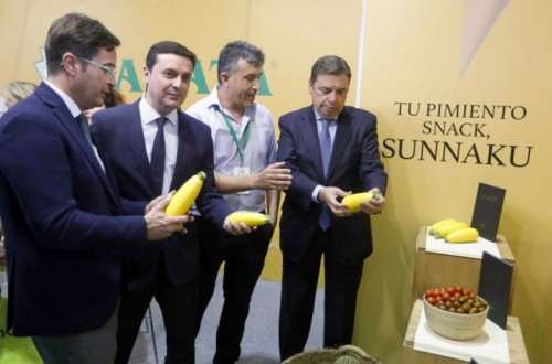 El calabacín amarillo, la gran novedad de Sakata en Infoagro Exhibition