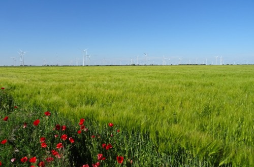 La Agricultura, un asunto de interés general para el futuro de país que queremos. Eduardo Moyano Estrada