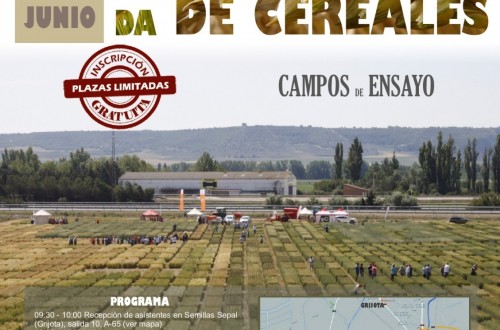 Jornada del Itagra.ct sobre variedades de cereales en campos de ensayo