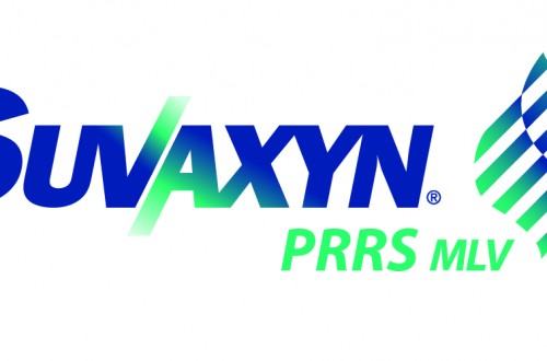 Suvaxyn PRRS MLV incorpora dos novedades en sus indicaciones