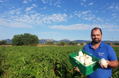 Carrefour lanza un crowdfounding para recuperar la berenjena blanca