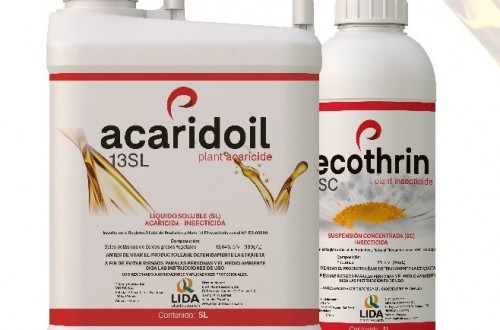 Acaridoil, el acaricida-insecticida ecológico de Lida Plant Research para el control de Tuta Absoluta