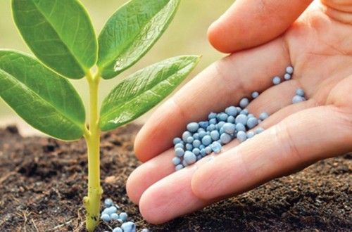 Actualizada la normativa sobre indicadores de riesgo en el uso sostenible de productos fitosanitarios