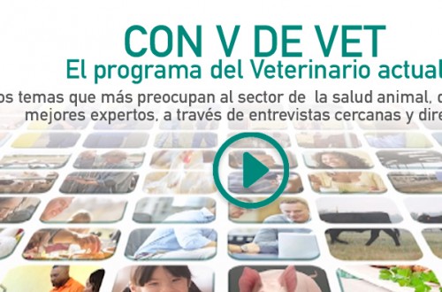 MSD Animal Health presenta “Con V de Vet”, el programa para el veterinario actual