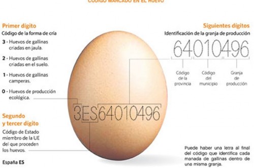 Singapur abre su mercado interno a la importación de huevos españoles