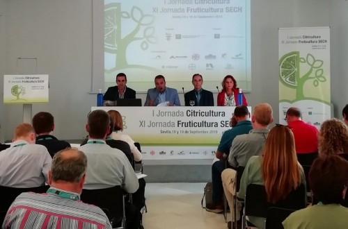 Aforo completo en las I Jornadas de Citricultura y  XI Jornadas de Fruticultura celebradas en Sevilla