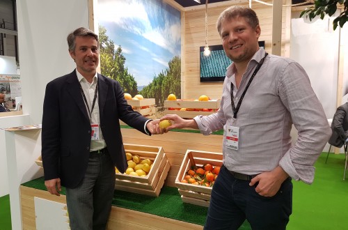 Consentio, la nueva plataforma digital para comercializar frutas y hortalizas