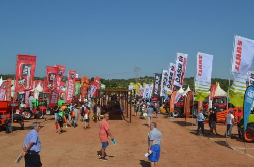 Arranca en Turís la primera edición de Demoagro Specialty