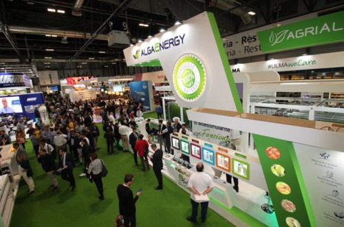 AlgaEnergy presenta en Fruit Attraction los servicios y herramientas que pone a disposición del agricultor