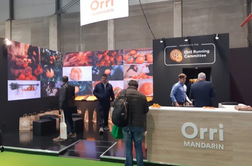 La Asociación de Productores de Mandarina Orri presenta su nueva imagen