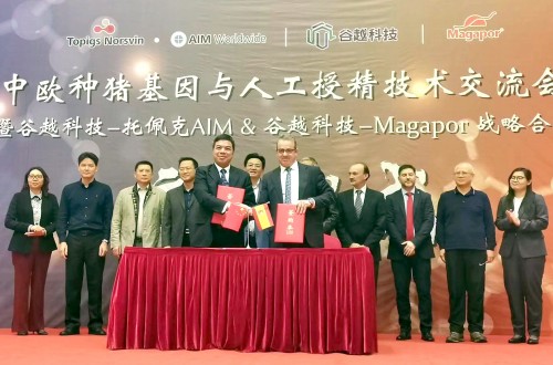 Magapor y Guyue firman un acuerdo para crear el mayor centro de reproducción porcina de China