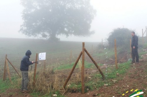 Innotuber evalúa las medidas de bioseguridad contra la tuberculosis bovina