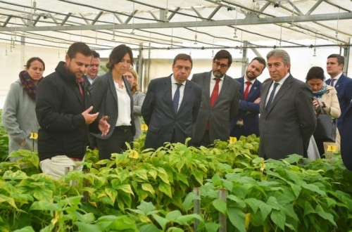 Luis Planas visita el centro de investigación y desarrollo de Basf en Utrera