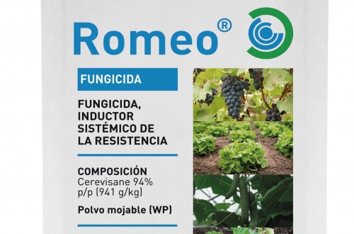 Romeo, el nuevo fungicida ecológico inductor de las defensas naturales de la planta de Kenogard