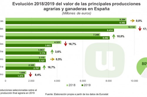 Balance 2019: uno de los peores años que se recuerda a nivel agropecuario, según Unión de Uniones