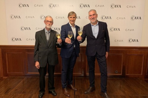 La Denominación de Origen Cava aprueba por unanimidad su nuevo Plan Estratégico