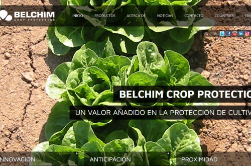 Mitsui & Co se convierte en accionista mayoritario de Belchim Crop Protection